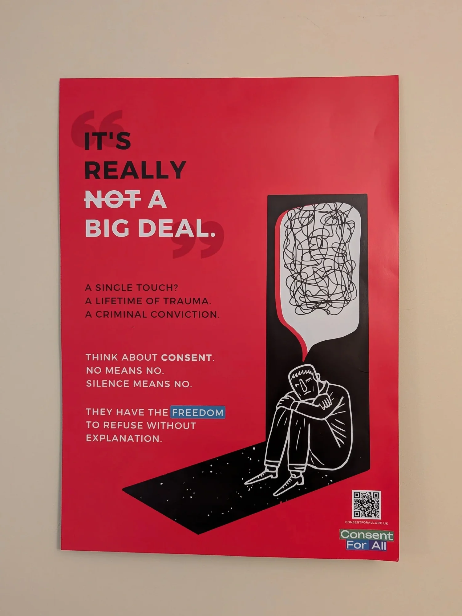 Picture of one of our posters highlighting the impact of sexual violence